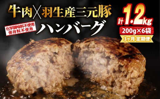 【定期便】 大判ハンバーグ ハンバーグ 牛肉 豚肉 あいびき 1.2kg×3回 定期便 小分け 個包装 大判ハンバーグ 惣菜 冷凍 合挽きハンバーグ 保存料不使用 無添加 国産 はんばーぐ hannba-gu ハンバーグ ランキング 人気ハンバーグ 肉 冷凍食品 簡単調理 国産ハンバーグ ふるさと納税ハンバーグ にく 冷凍 はんばーぐ 冷凍はんばーぐ おかず 簡単 惣菜 お惣菜 hannba-gu