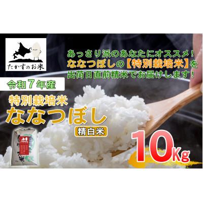 ふるさと納税 鷹栖町 【令和7年産新米予約】たかすのお米 「特別栽培米 ななつぼし」10kg(精白米) SA943