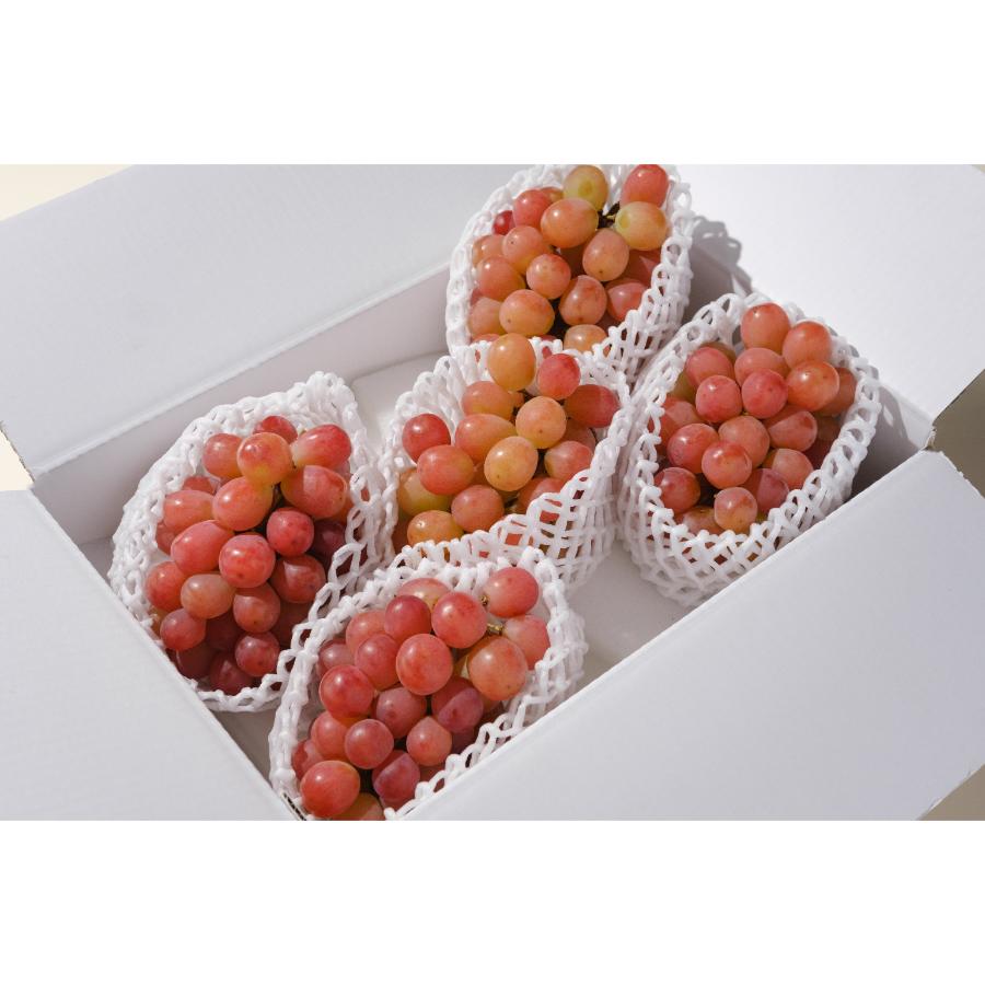 ＜Bonchi＞甲州市産サンシャインレッド4～5房入(2.2kg)自然農法
