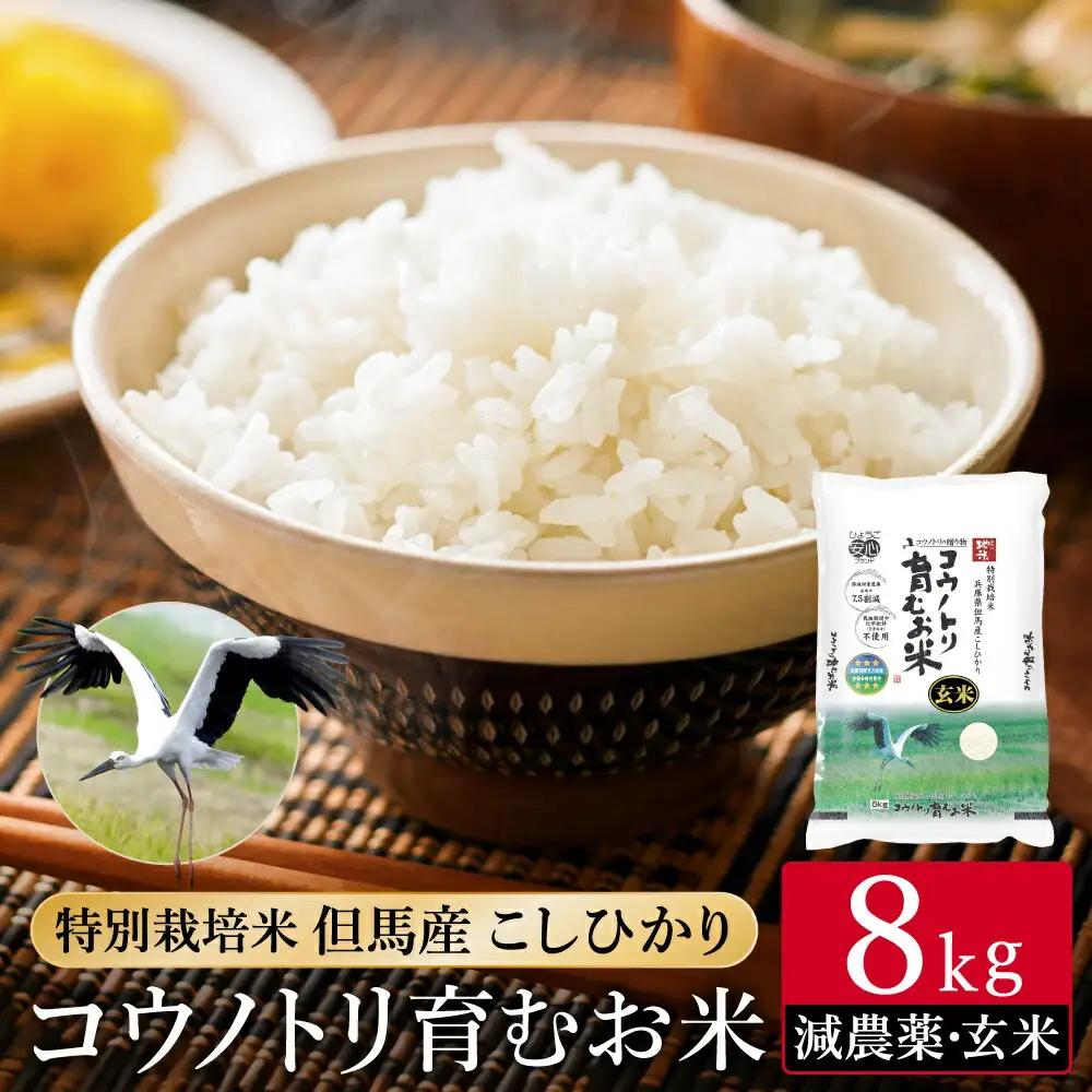 令和7年産 減農薬 特別栽培米 コウノトリ育むお米 玄米 8kg（2kg×4袋）