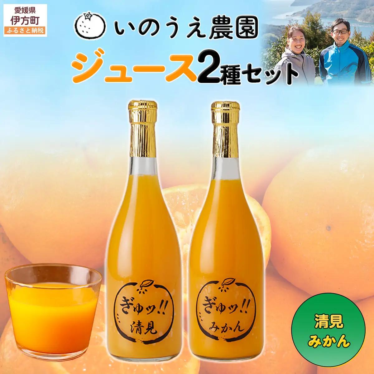 いのうえ農園 ジュース2種セット（清見/みかん）※離島への配送不可 IKTAI019