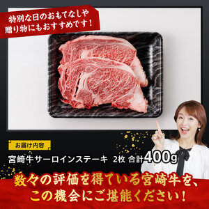 牛肉 宮崎牛 サーロイン ステーキ 400g