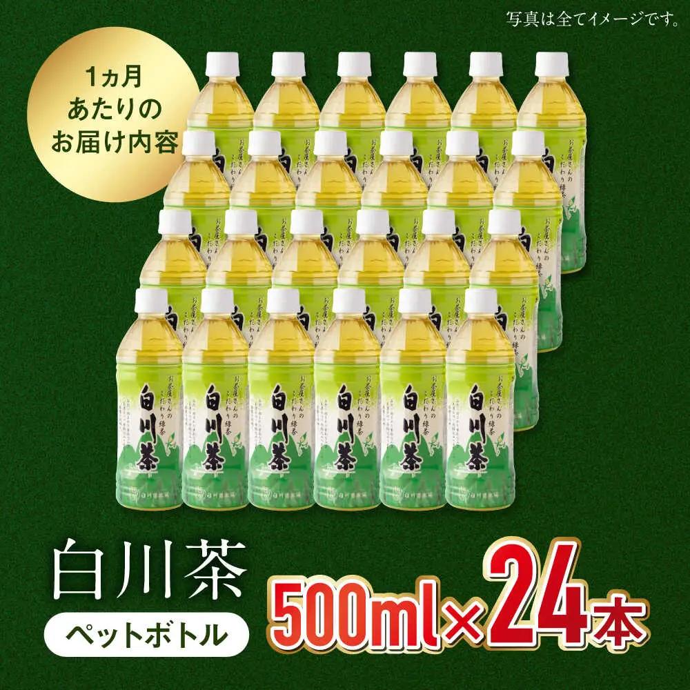【12回定期便】緑茶ペットボトル 500ml×24本入/ 白川園本舗[AWAT008]緑茶