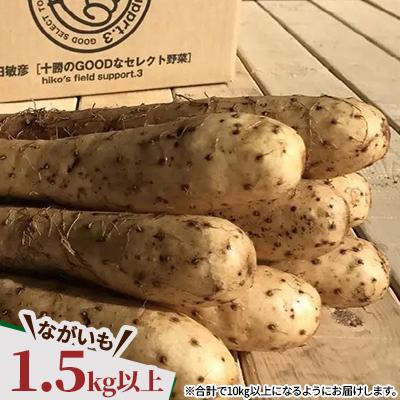 ふるさと納税 帯広市  じゃがいも2種+ながいも 計10kgセット　北海道十勝帯広産 |  | 03