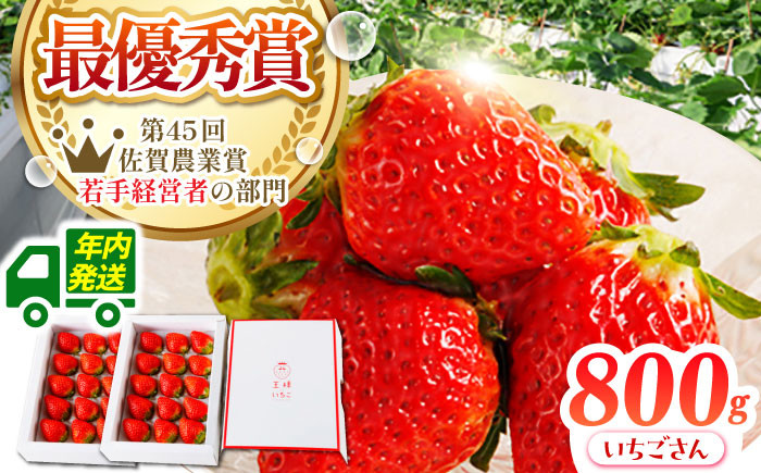 
            【農薬0への挑戦】【12月発送】王様のいちご いちごさん 800g ( 400g×2箱 )【むらおか農園】 [HAF001] 年内発送
          