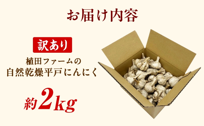 にんにく 高知県産 乾燥 ガーリック 薬味 お取り寄せ 訳あり 先行予約