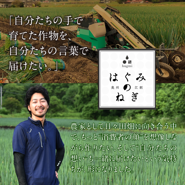 hugmiの長ねぎ 3kg 2Lサイズ 離島配送不可 [BJ012]