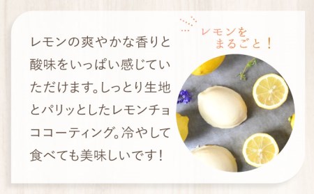 ＼2024年1月16日以降順次発送／　レモンケーキBOX（８個入）【ルポ】 [TBN008]