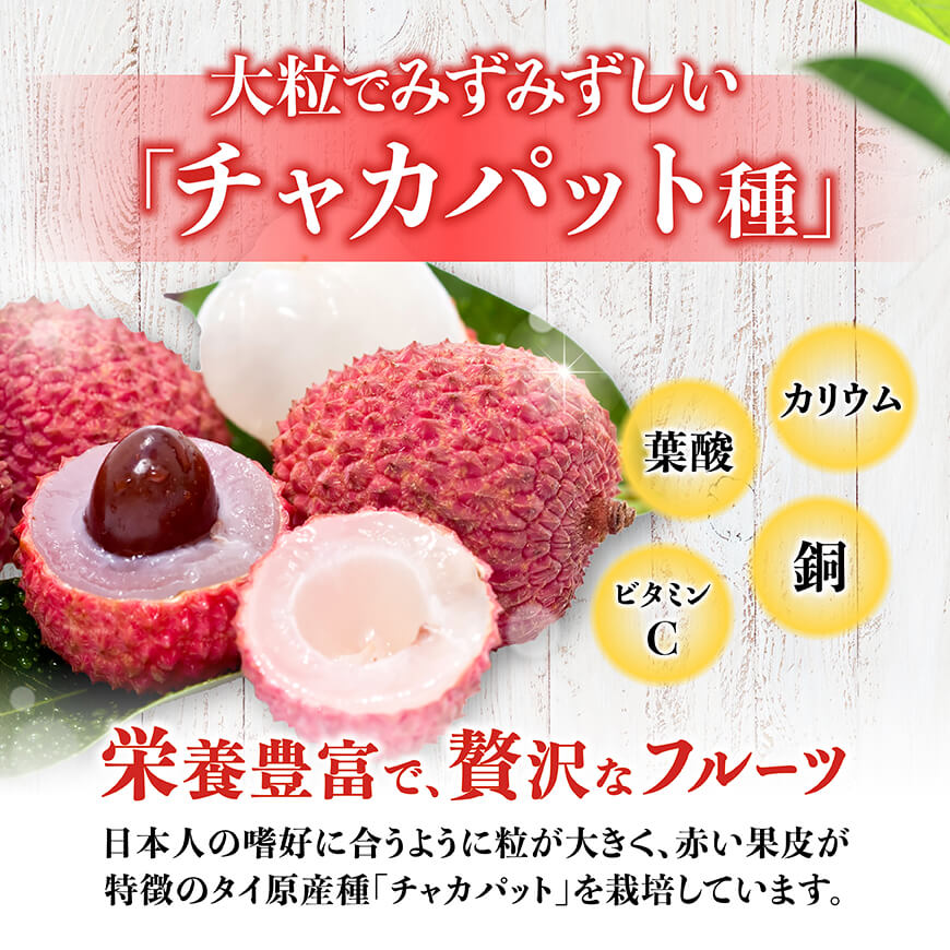 【令和8年産】川南町産ライチ（大粒）10粒(5粒×2パック) 【 国産ライチ フルーツ デザート 宮崎県産 】 [C03203]