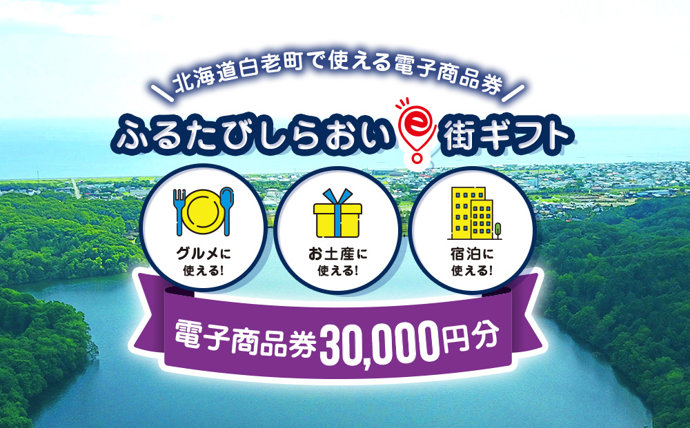 【ANAの旅先納税】ふるたびしらおいe街ギフト　30,000円分 EG004