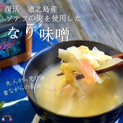 ふるさと納税 徳之島町 〜徳之島産ソテツの実を使用〜昔ながらのなり味噌(無添加)