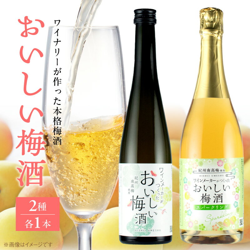 【ふるさと納税】おいしい梅酒 2種 飲み比べ セット 本格 梅酒 500ml 梅酒スパークリング 750ml 和歌山産 梅 紀州南高梅 白ワイン スパークリング プレーンタイプ とろり 濃厚 しゅわっと 爽快 梅の本場 お酒 お取り寄せ 和歌山県 湯浅町 送料無料