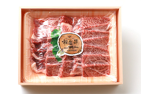 宮崎県産 椎葉牛 焼肉セット【600g】秘境 宮崎県産 牛肉 椎葉牛 焼肉 焼き肉 やきにく ヤキニク 焼き肉用 焼肉用 焼き肉セット 焼肉セット 国産 beef steak 焼肉セット 牛肉 焼き肉