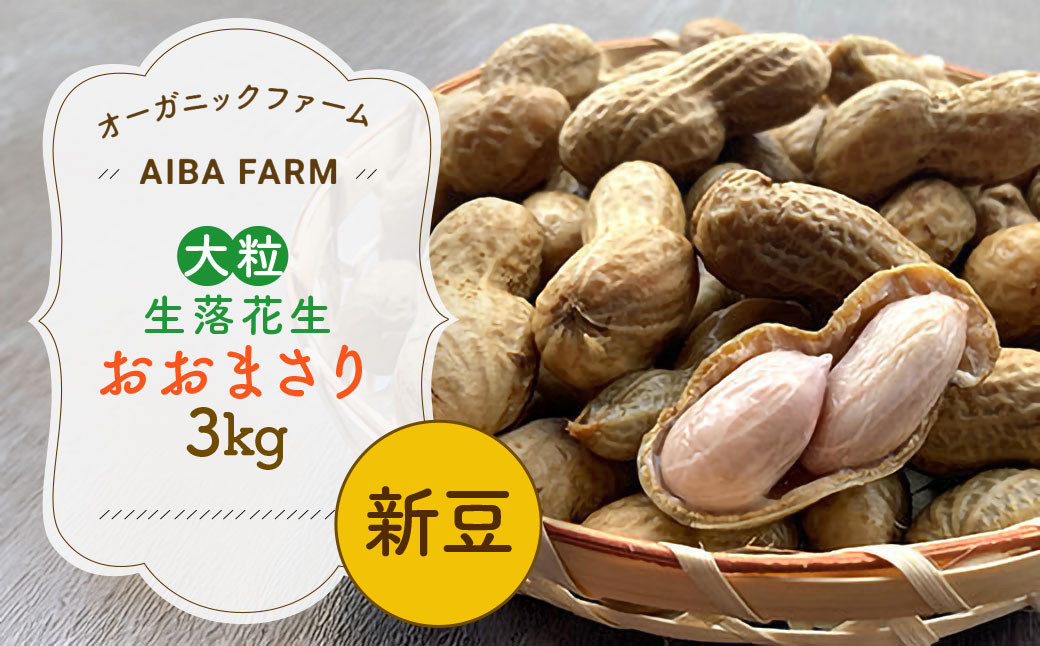 
            【先行予約・新豆 】千葉県産 大粒 農家直送！「生落花生」おおまさり３kg　【 ふるさと納税 人気 おすすめ ランキング 皮付き 殻付き ピーナッツ ピーナツ 落花生 オーガニック 千葉県 富里市 送料無料 】TML010
          