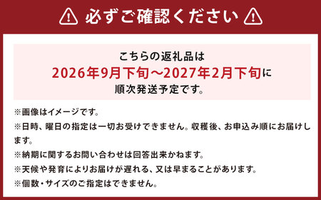 じゃがいも （男爵）  Lサイズ 約5kg × 1箱 約5kg （JA） だんしゃく ジャガイモ 芋 いも 野菜 やさい ほくほく 北海道 京極町 常温 【2026年9月下旬～2027年2月下旬迄発送