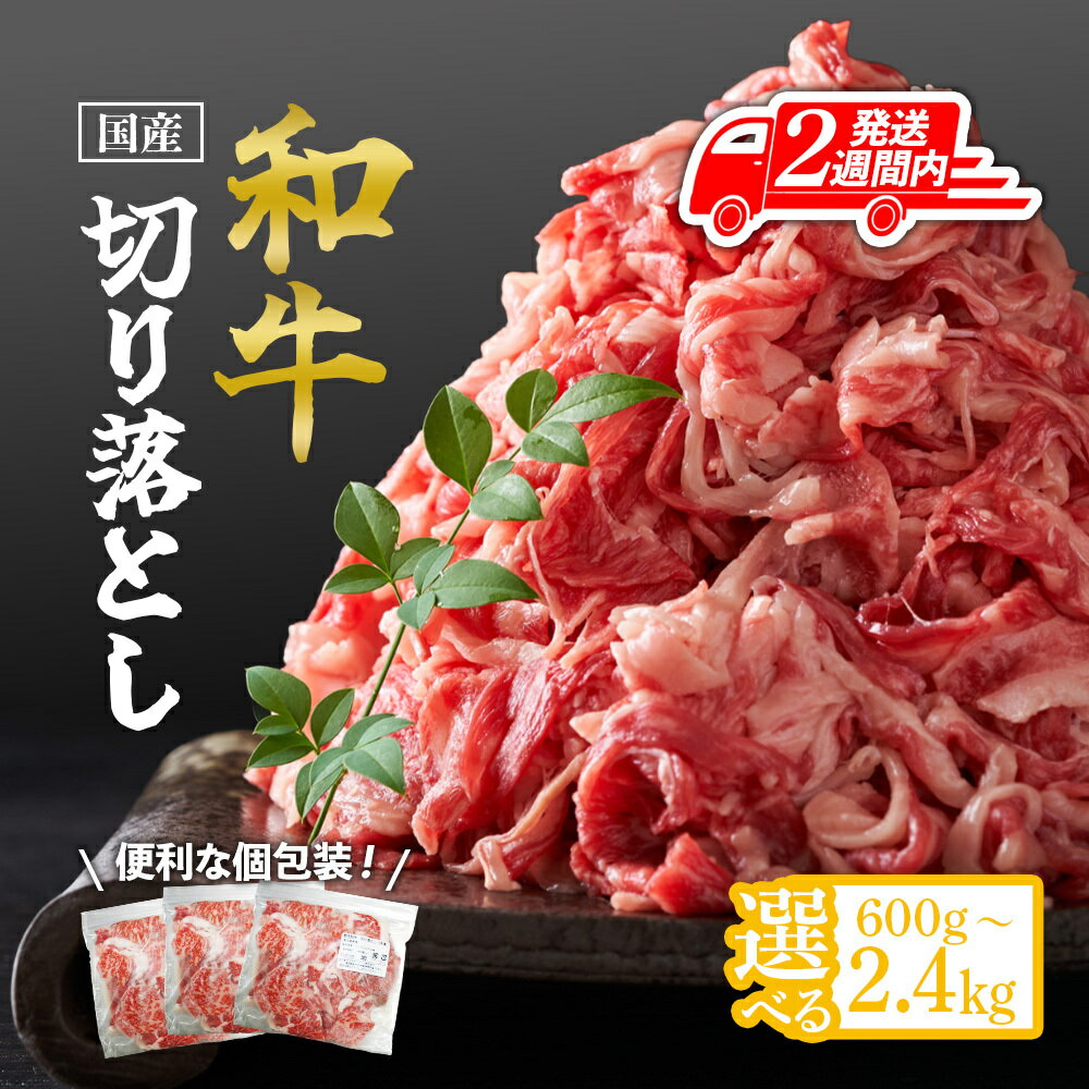 【ふるさと納税】2週間以内発送 国産和牛切り落とし 個包装 | 肉 お肉 国産 牛 牛肉 和牛 切り落とし 鹿児島県産 和牛切り落とし 九州 お土産 支援 黒毛和牛 国産牛肉 小分け 鹿児島県大崎町 鹿児島県 大崎町 鹿児島 大崎 特産品 名産品