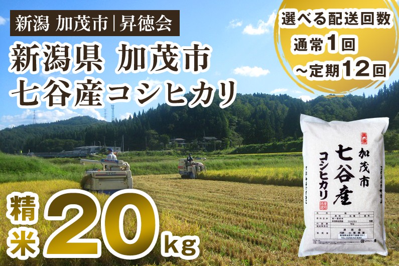 
                  【令和7年産】【選べる配送回数】新潟県加茂市 七谷産コシヒカリ 精米20kg（5kg×4） 定期便 隔月便 白米 高柳地域産数量限定 昇徳会
                