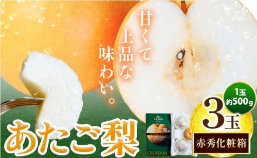【先行予約】梨 なし ナシ あたご梨 約500g×3玉 化粧箱 石原果樹園 《2026年11月中旬-12月下旬頃より発送予定》岡山県 浅口市 フルーツ 果物 ギフト 贈り物 国産 岡山県産 送料無料