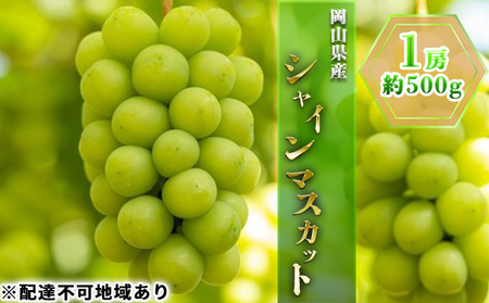 ぶどう 2026年 先行予約 シャイン マスカット 1房 約500g  岡山県産 シャインマスカット
