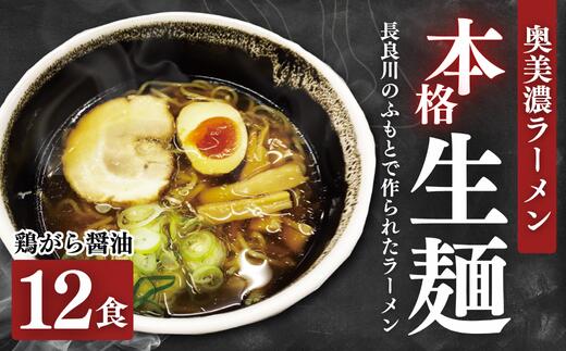 【ふるさと納税】奥美濃ラーメン12食セット(鶏がら醤油スープ付) 醤油ラーメン 12食 生麺 めん 麺 ラーメン 郡上 生ラーメン そばの更科 G0410