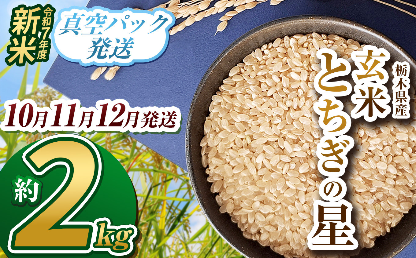 
            【栃木県共通返礼品】【先行予約】【選べる発送月】令和7年度新米 栃木県産とちぎの星 2kg | 玄米 精米 お米 コメ とちぎの星 先行予約 ブランド米 栃木県 特産品  下野市 送料無料
          