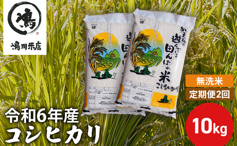 【定期2ヶ月】新米 コシヒカリ 乾式無洗米 10kg（5kg×2）令和6年産