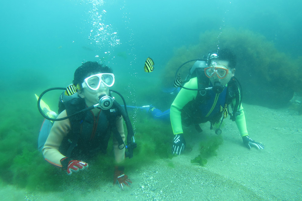 【なまはげの海でダイビング！！】 海洋体験ビーチダイビング 2名様 秋田県 男鹿半島 男鹿市
