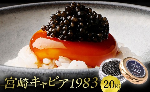 宮崎キャビア1983 (20g) 国産 宮崎県産 キャビア 20g チョウザメ 長期熟成 珍味 ギフト 化粧箱入り