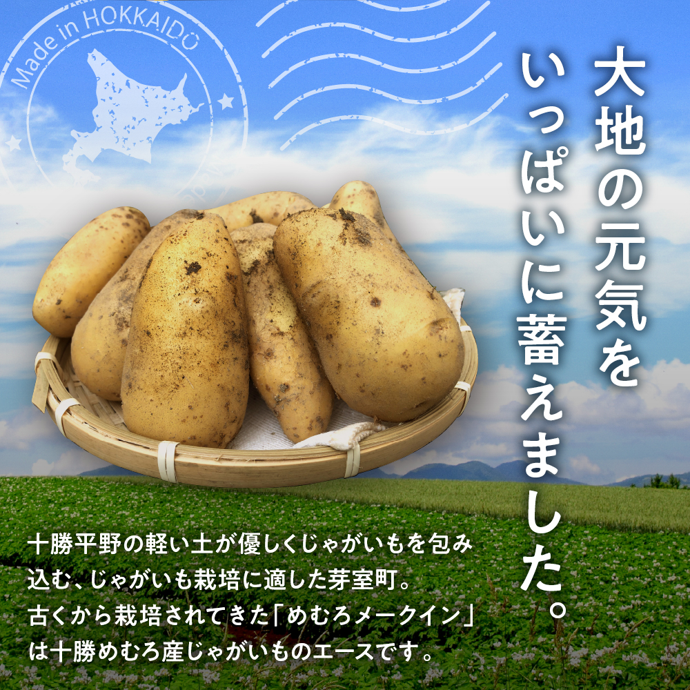 【先行受付】【2026年10月出荷分】北海道芽室町 十勝めむろ産「めむろメークイン」Ｌサイズ5kg me010-019c-26