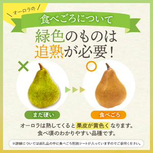 【令和7年産 先行予約】西洋梨オーロラ2kg 秀品　化粧箱入り　山形県 東根市 東根農産センター提供 hi027-187-1 オーロラ 洋梨 洋ナシ フルーツ 果物 くだもの 化粧箱 産地直送 期間限