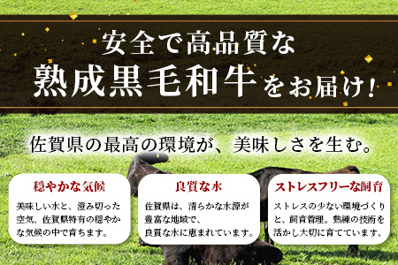 E-49  【熟成肉】佐賀県産黒毛和牛 牛肩ロース 焼肉用 500ｇ