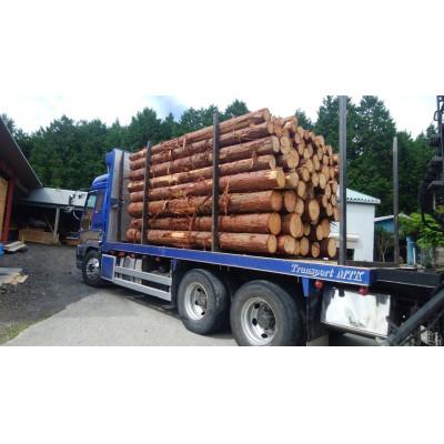 ふるさと納税 恵那市 低温バイオ乾燥「郷山薪」24kg |  | 03