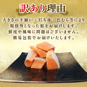 訳あり 銀鮭 切り身 800g （1枚 約20-40g） 鮭 さけ サケ シャケ