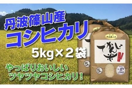 コシヒカリ〈新米〉特A  丹波篠山産  5kg×2袋 10kg コシヒカリ 小分け でかんしょ米 こしひかり
