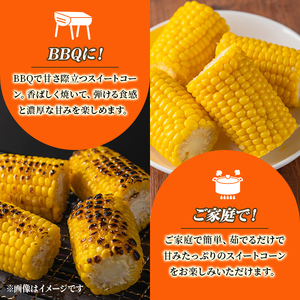 ＜期間限定＞天塩川源流スイートコーン ゴールドラッシュ (8本) 【2026年8月下旬より順次発送】北海道産 北海道 士別市 とうもろこし トウモロコシ とうきび コーン 野菜 産地直送 【三栄アグリ