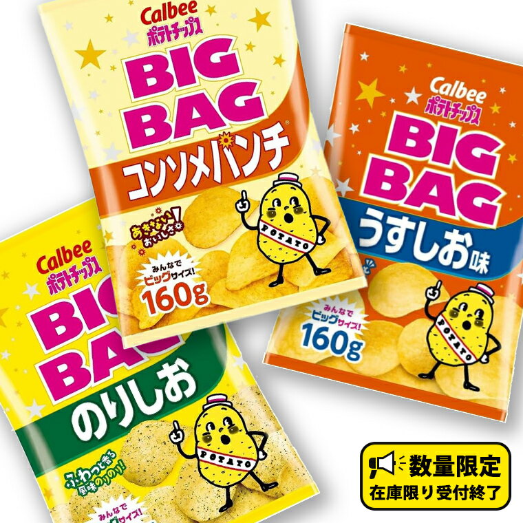 【ふるさと納税】カルビー ポテトチップス BIGBAG 160g うすしお ・ のりしお ・ コンソメパンチ ポテチ お菓子 おかし 大量 スナック おつまみ ジャガイモ じゃがいも まとめ買い 数量限定 定期便