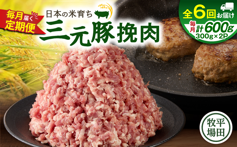 【全6回 毎月定期便】日本の米育ち平田牧場三元豚ひき肉 600g　T036-T12-02