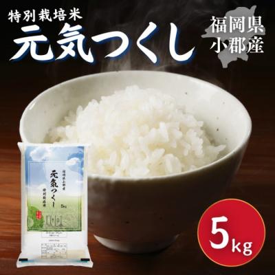 ふるさと納税 小郡市 特別栽培米 福岡県 小郡産 元気つくし 5kg 米 お米[No5354-2299]