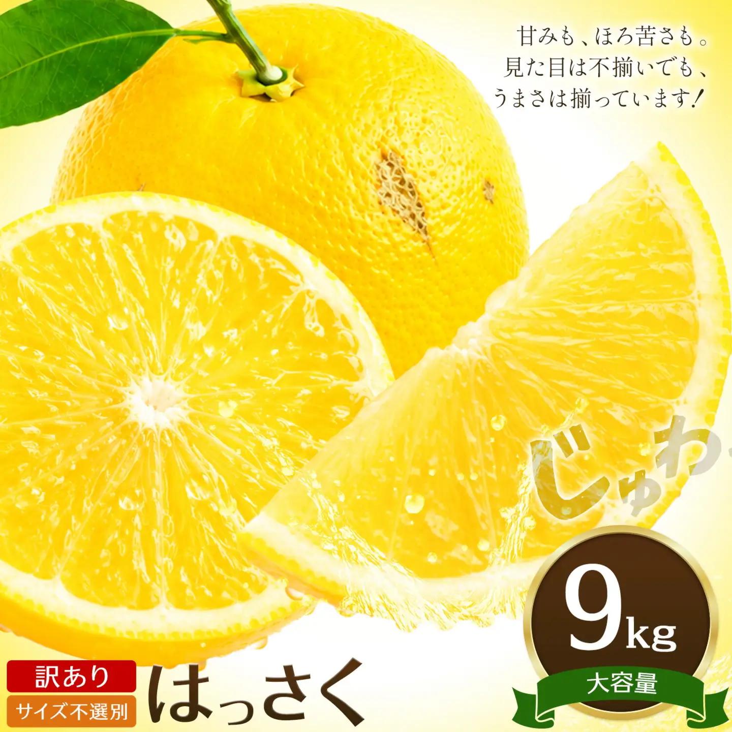 訳あり はっさく 9kg 八朔