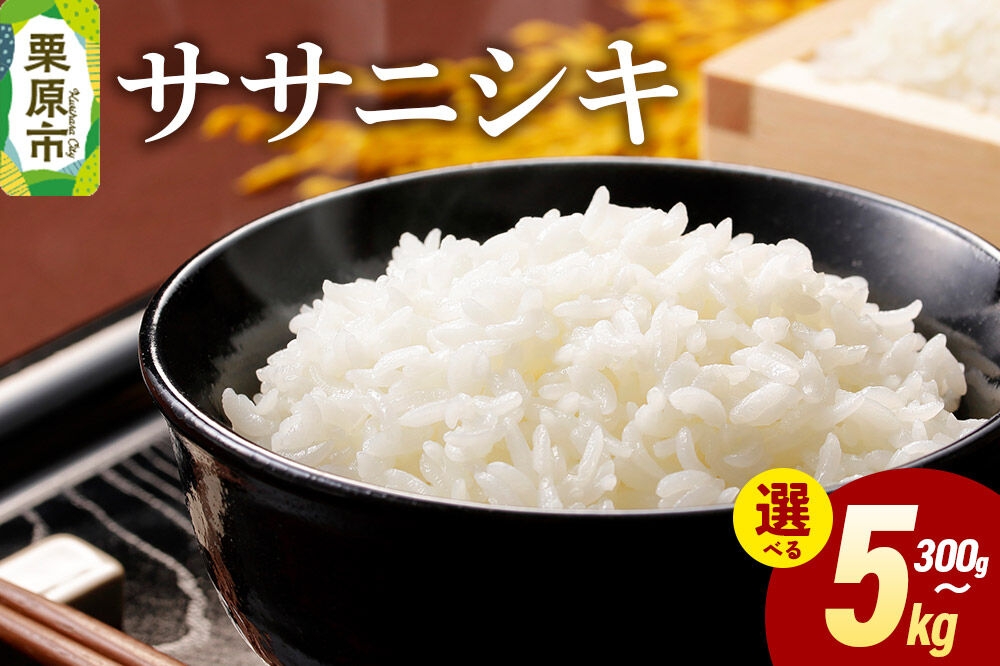 
                  米 白米 令和7年産 ササニシキ 【選べる内容量：300g／2kg／5kg】 [ふるさと納税 米 ササニシキ お試し 選べる セット 300g 2kg 5kg こめ 精米 白米 おいしい 美味 旨み 甘い 宮城県 栗原市 栗原フードサービス]
                