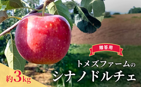 シナノドルチェ（贈答用） 約3kg（8玉〜12玉入り）トメズファーム　りんご　長野　信州　小諸　果物　フルーツ