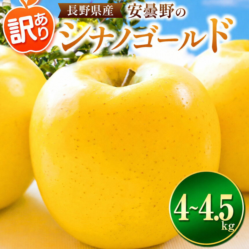 【ふるさと納税】【2026年先行予約】訳あり シナノゴールド 4~4.5kg ｜ 東印平林農園 エコファーマー認定 リンゴ りんご 林檎 果物 フルーツ 果実 しなの ゴールド 家庭用 わけあり 訳アリ 長野県 松川村