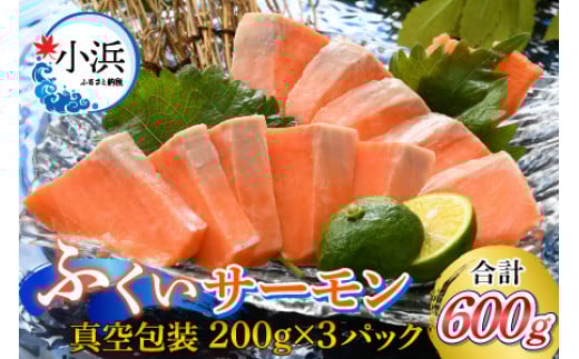【年内配送】国産 ふくいサーモン 200g×3パック 合計600g  【配送不可地域：北海道・沖縄・離島】  [BFAA076]