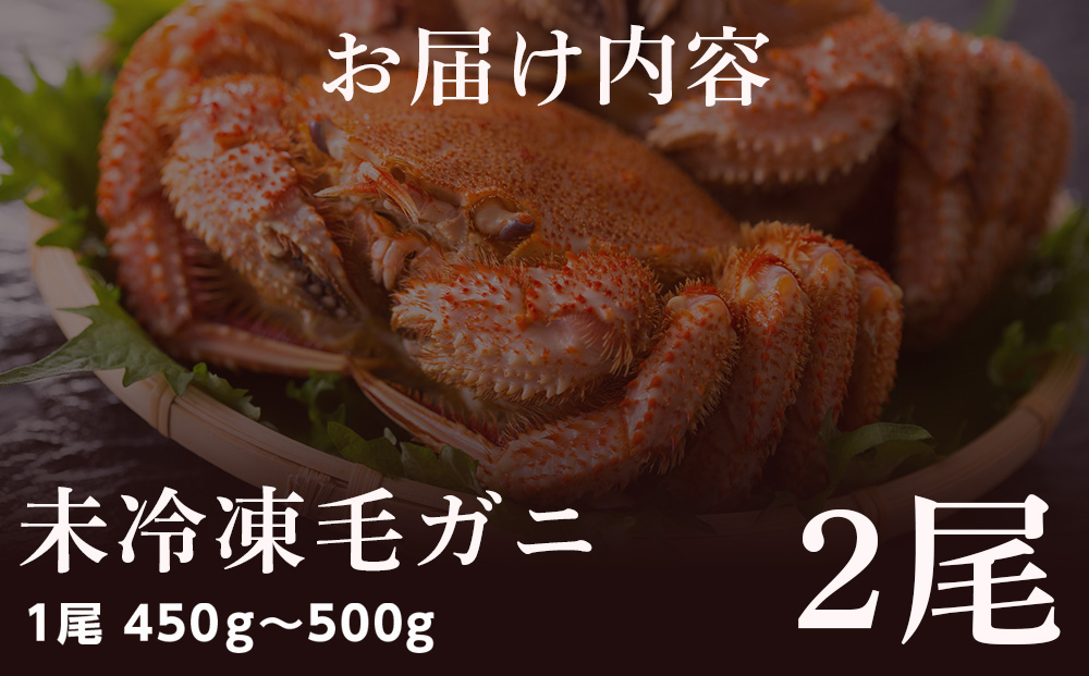 ★期間限定★ 浜ゆで！毛ガニ 約400g～450g×2尾 チルド配送 7/17~7/30発送【斉藤水産】 北海道 冷蔵 チルド 毛蟹 カニ かに 白老 前浜