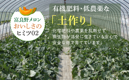 メロン 富良野産 訳あり メロン【約4kg 2～4玉】富良野メロン