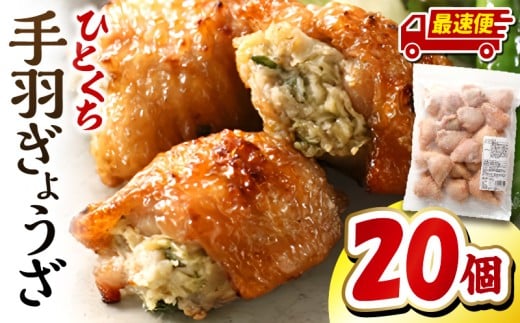 【最速便】ひとくち手羽ぎょうざ 20個入×1パック_M025-005-01-2W