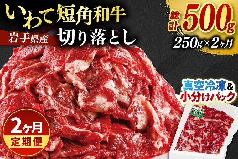 
            ＼2ヶ月連続 定期便／ 切り落とし 赤身 肉 牛肉 いわて 短角和牛 250g (総計 500g) 小分けパック 真空冷凍 | 牛肉 肉 赤身 短角 和牛 国産牛 ブランド牛 切り落し 大容量 牛丼 肉じゃが 煮込み 煮物 小分け 真空パック 数量限定 (AB110)
          