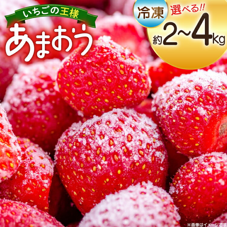 【ふるさと納税】 いちご 冷凍 あまおう 選べる内容量 約2kg or 約4kg [mhshops 福岡県 筑紫野市 21761236] 冷凍いちご 冷凍イチゴ イチゴ 苺