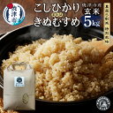 【ふるさと納税】 米 玄米 コシヒカリ/きぬむすめ 5kg 農薬5割減 特別栽培 安心 安全 こだわり 減農薬 ごはん 焼津 a16-131