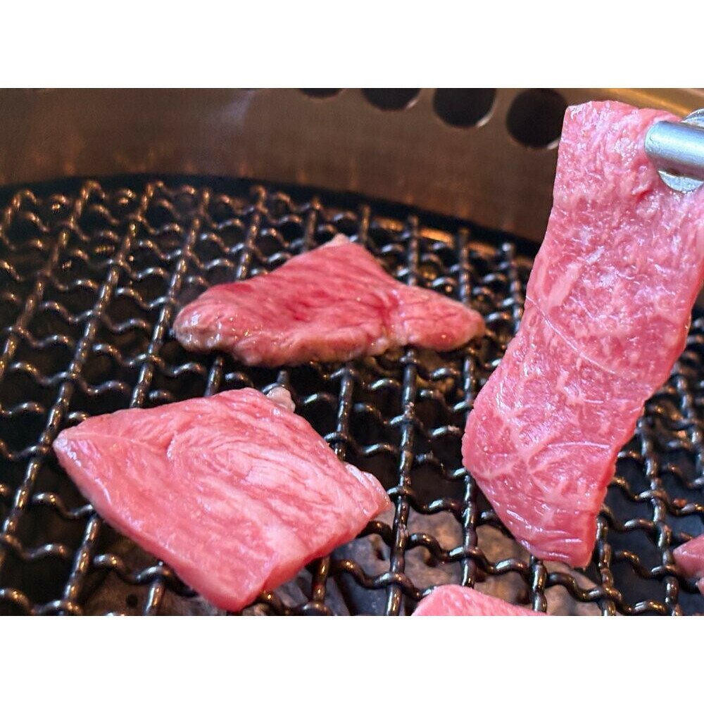 【ふるさと納税】鳥取黒毛和牛もも焼肉用(360g) | 牛肉 和牛 黒毛和牛 鳥取和牛 もも肉 モモ肉 赤身 焼肉 焼肉用 カット済み ヘルシー あっさり